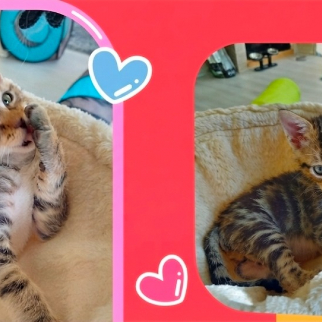 Photo de Bounty