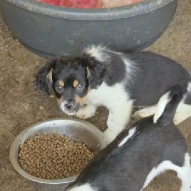 Photo de NOVA