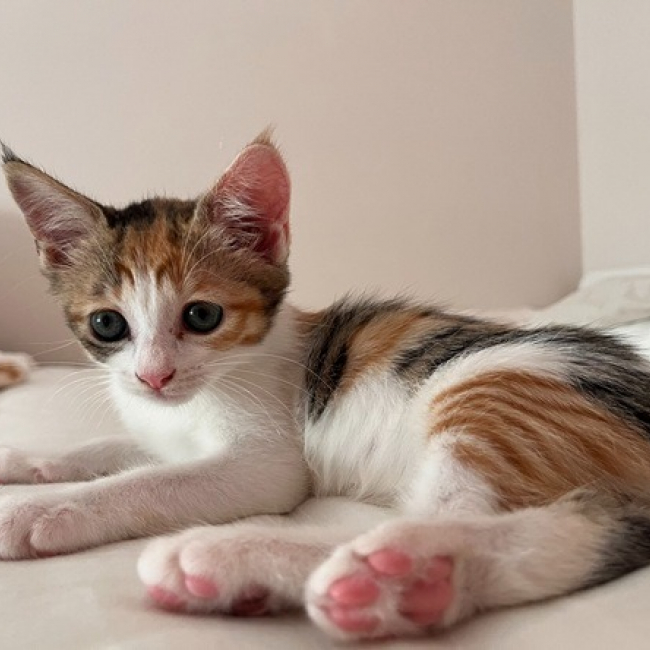 Photo de Milki