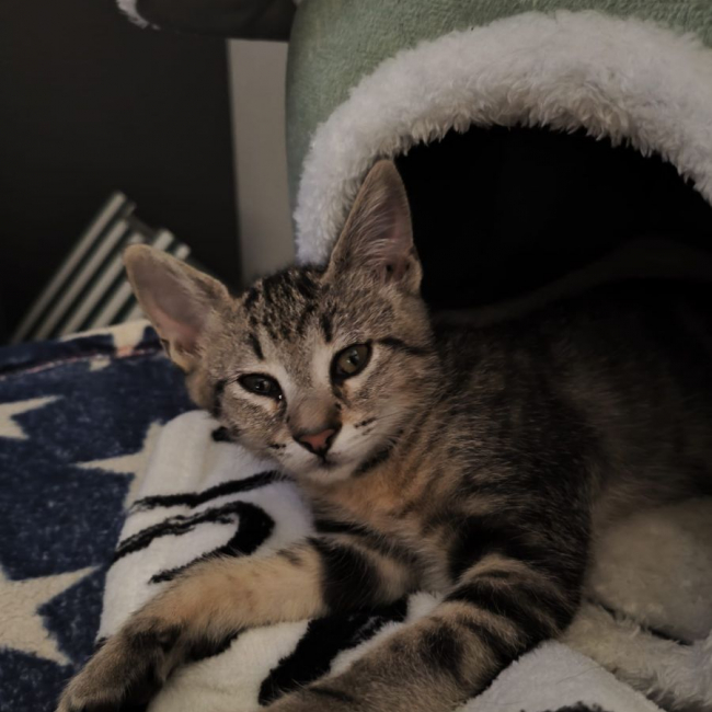 Photo de Praline
