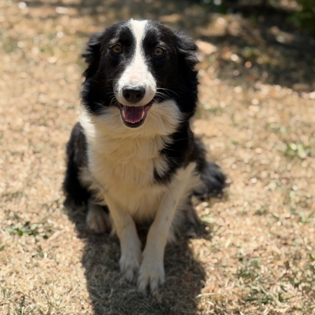 Photo de Vaya