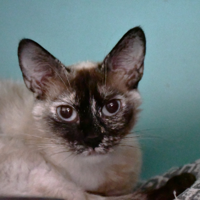 Tina