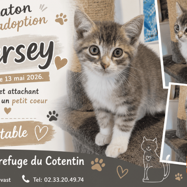 Photo de Jersey