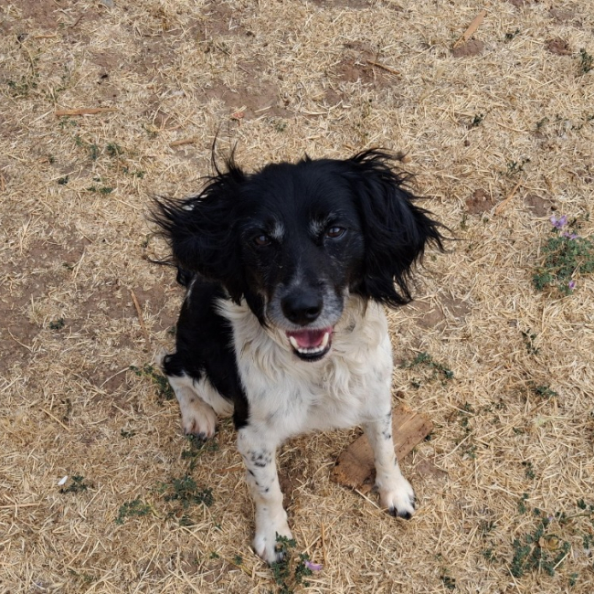 Photo de Oscar