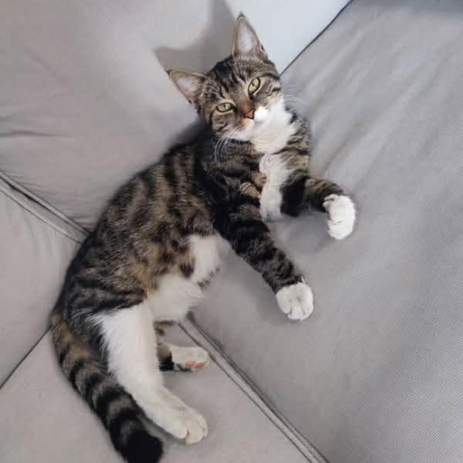 Photo de Milly