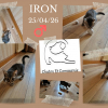 IRON