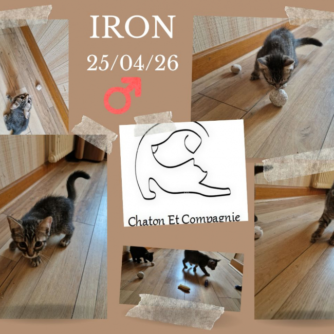 IRON