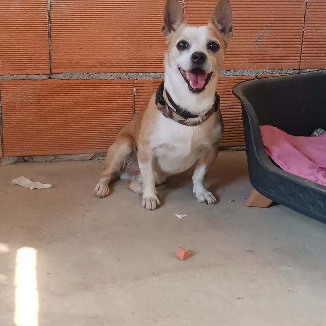 Photo de Atún