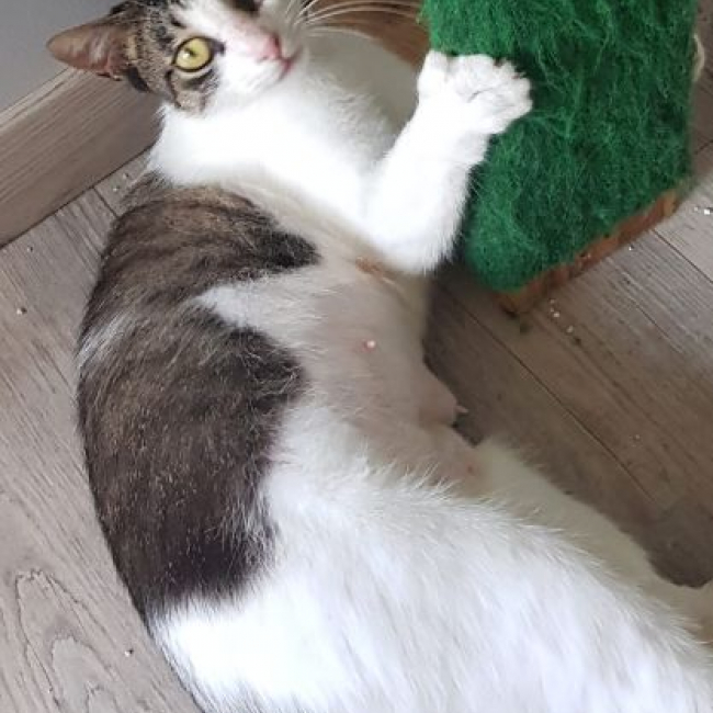 Photo de Mila