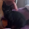 BLACKY