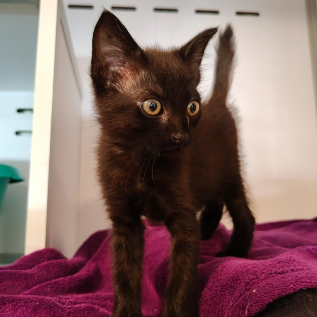 Photo de Midnight