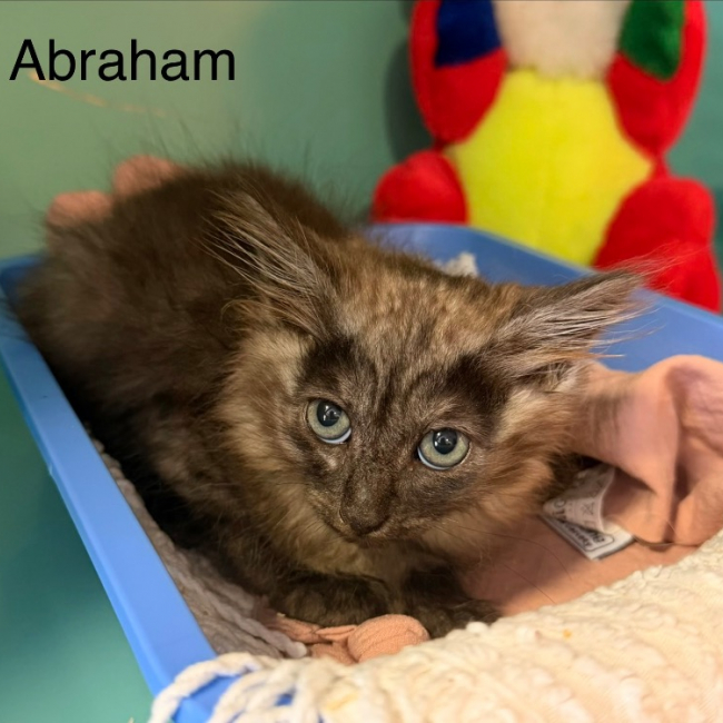 Photo de Abraham