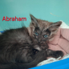 Abraham