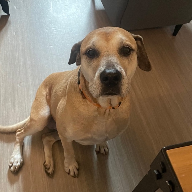 Photo de Milka