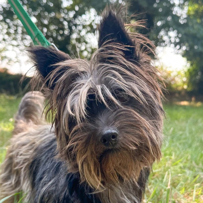 Photo de Pepette