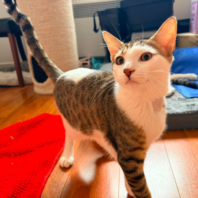 Caramel