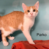 Parko