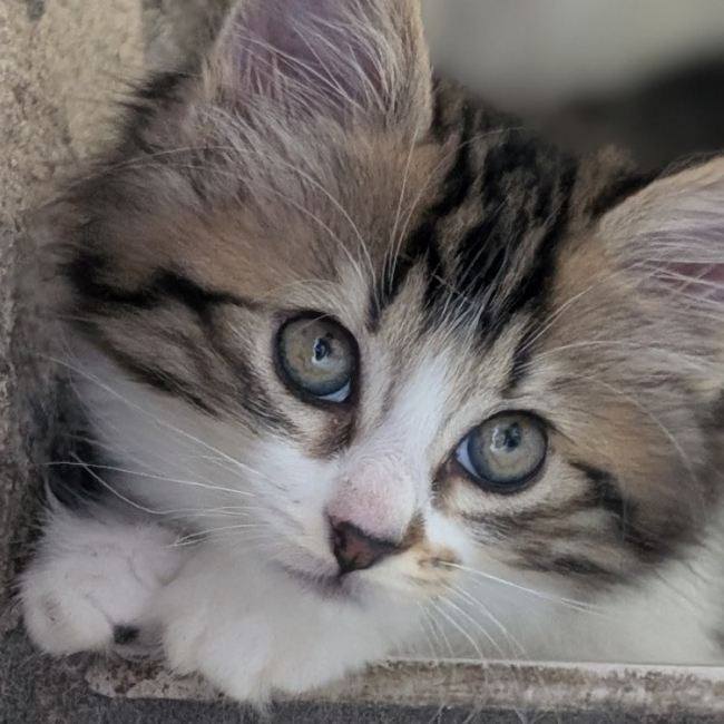 Photo de Winky