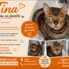 Tina