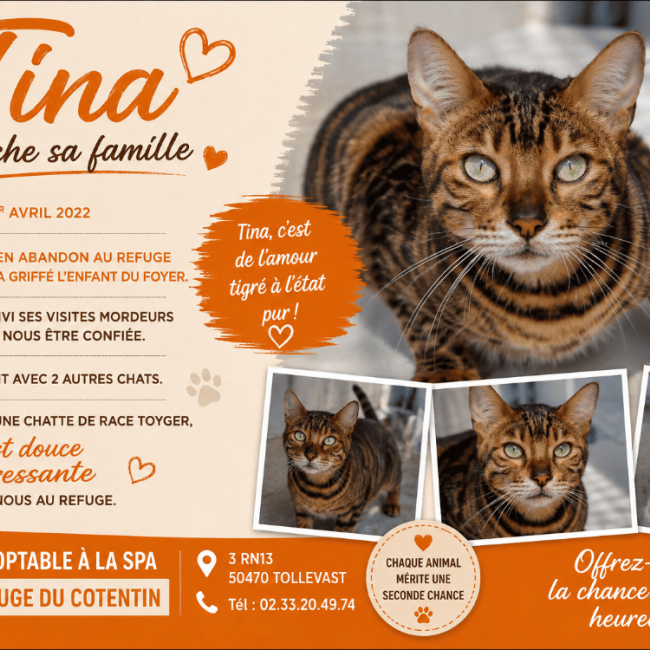 Photo de Tina