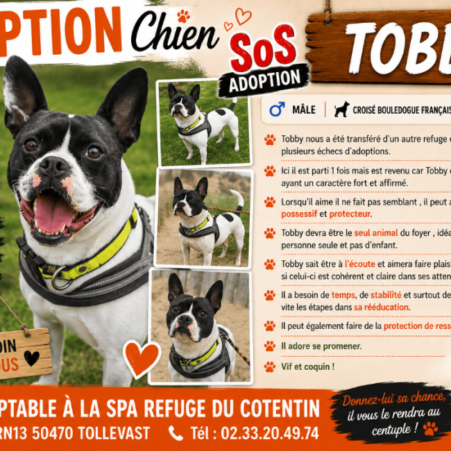 Photo de Tobby