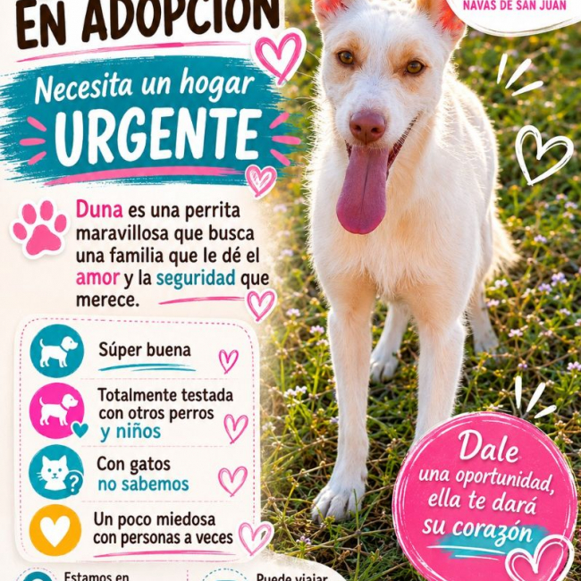 Photo de DUNA