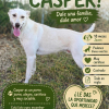 CASPER