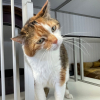 Armen