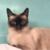 Lili