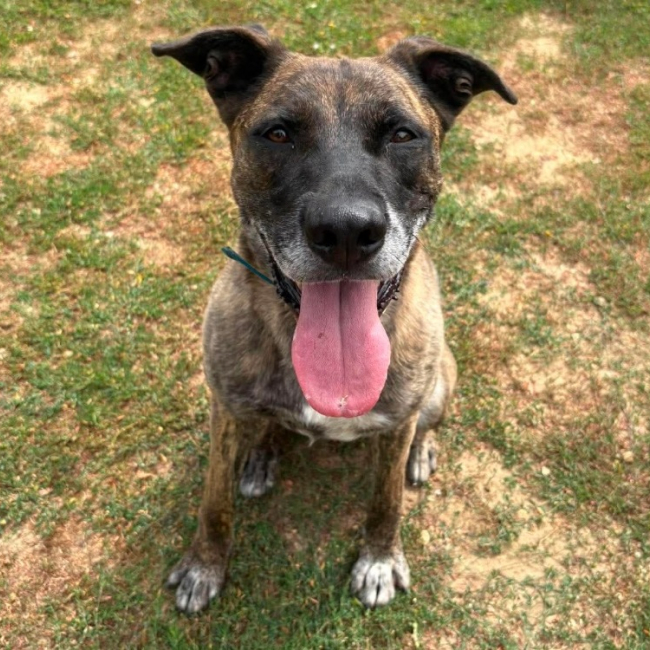 Photo de Zeus
