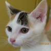 Yuma