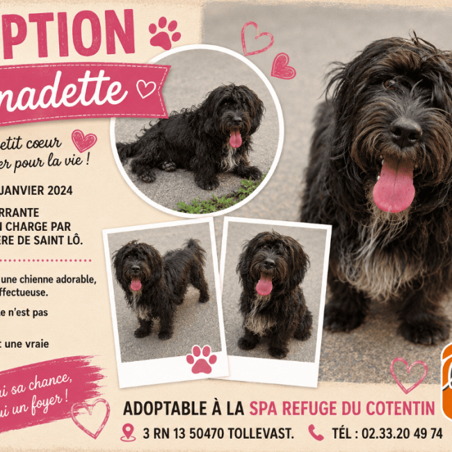 Bernadette