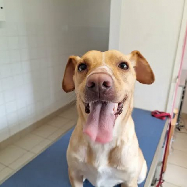 Photo de Nala