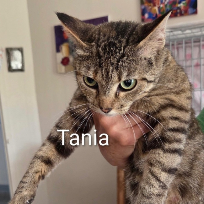 Photo de Tania
