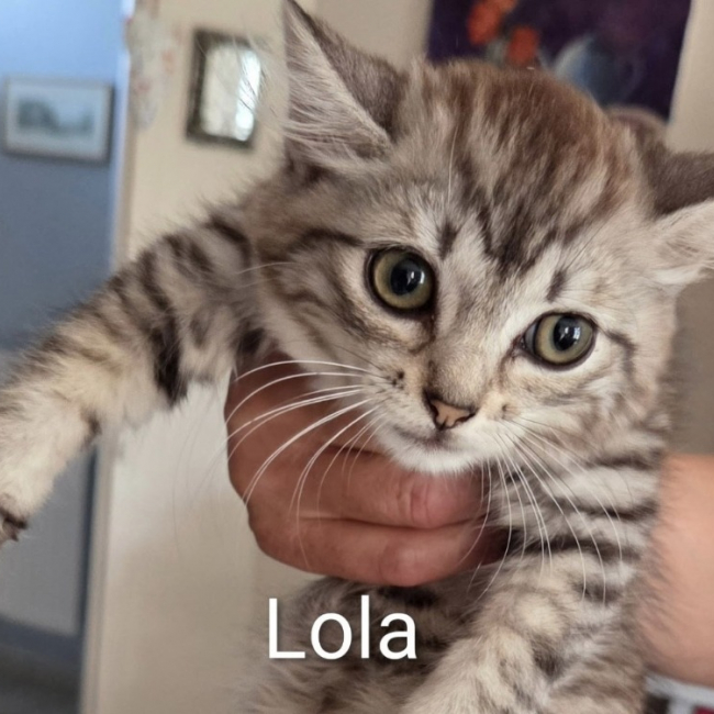Photo de Lola