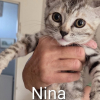 Nina