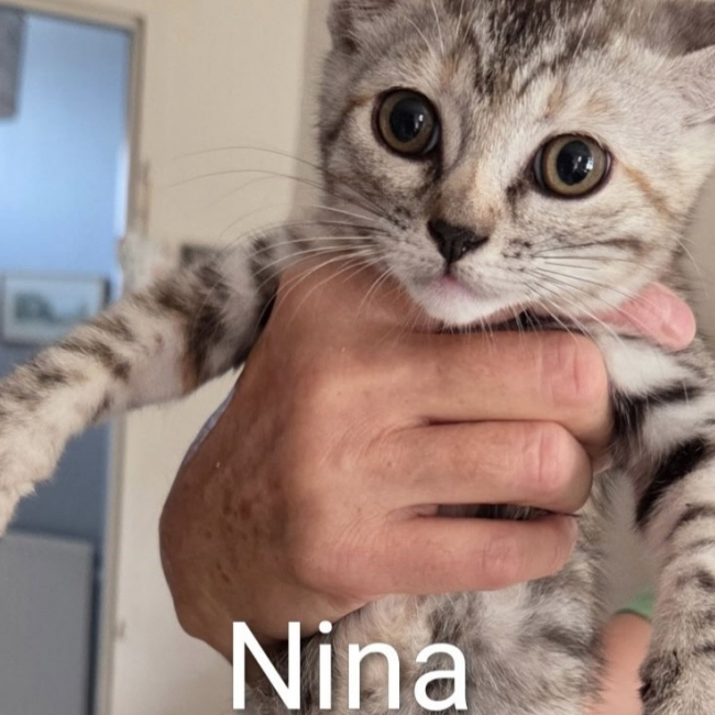 Photo de Nina