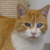 Ron