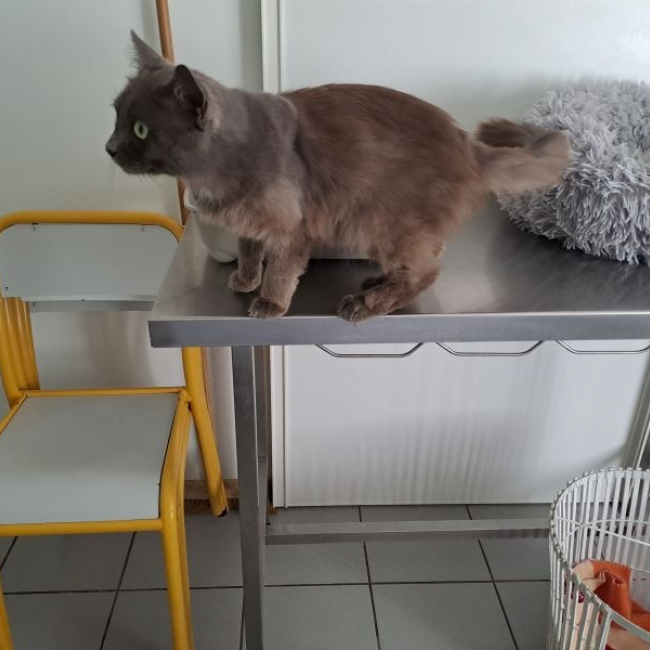 Photo de Luigi