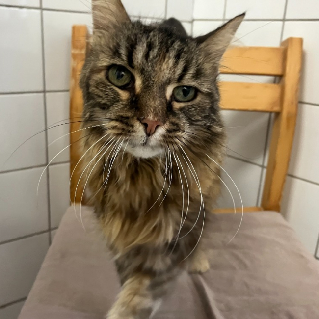 Photo de Daphne