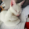 Casper