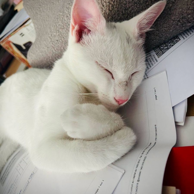 Casper