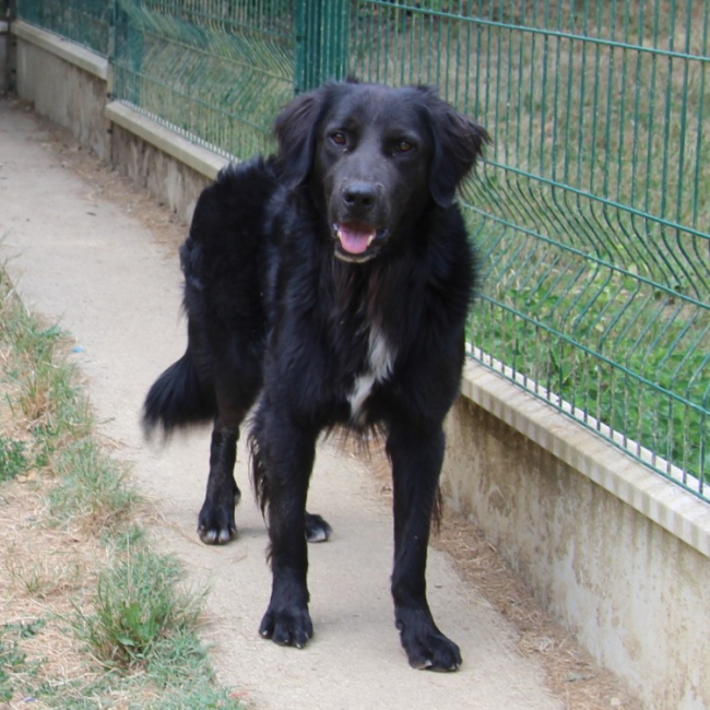 Photo de Thor