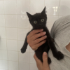 Nyx