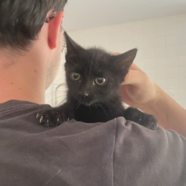 Photo de Ombra