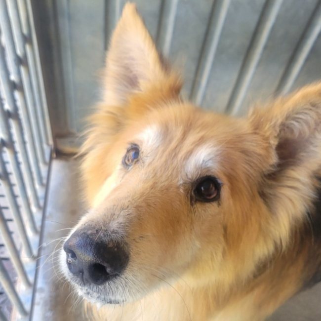 Photo de Winnie