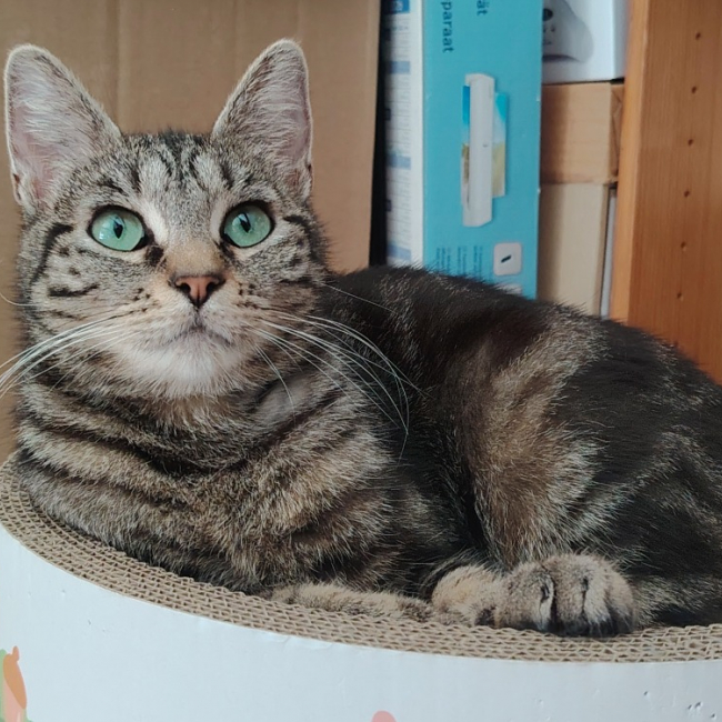Photo de Lunette