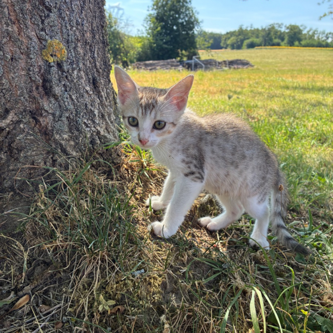 Photo de Bonnie