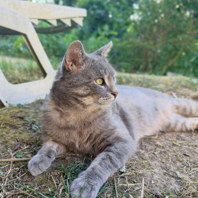 Photo de MISTER