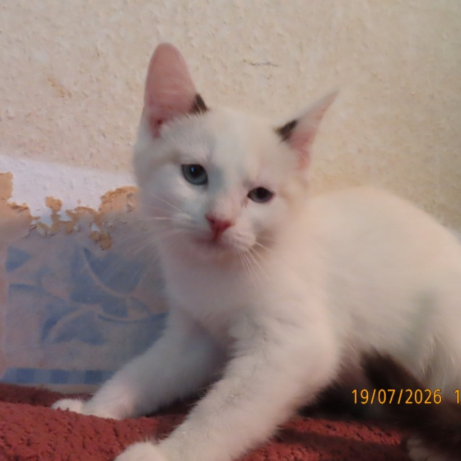 Photo de Uma